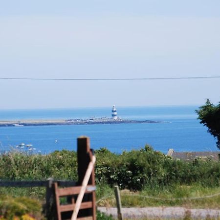 Apartament Beautiful One Bed With Stunning Sea View Waterford Zewnętrze zdjęcie