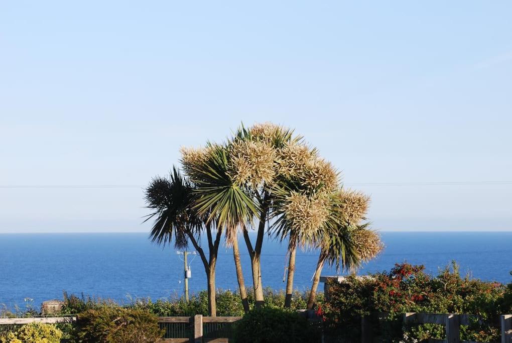 Apartament Beautiful One Bed With Stunning Sea View Waterford Zewnętrze zdjęcie